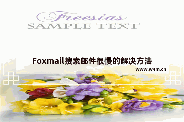 Foxmail搜索邮件很慢的解决方法