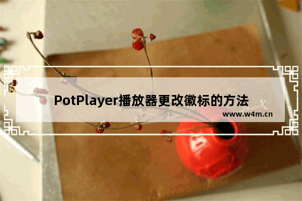 PotPlayer播放器更改徽标的方法