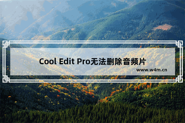 Cool Edit Pro无法删除音频片段怎么办？