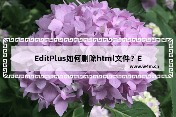 EditPlus如何删除html文件？EditPlus删除html文件的技巧