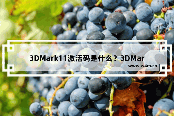 3DMark11激活码是什么？3DMark11序列号2022下载