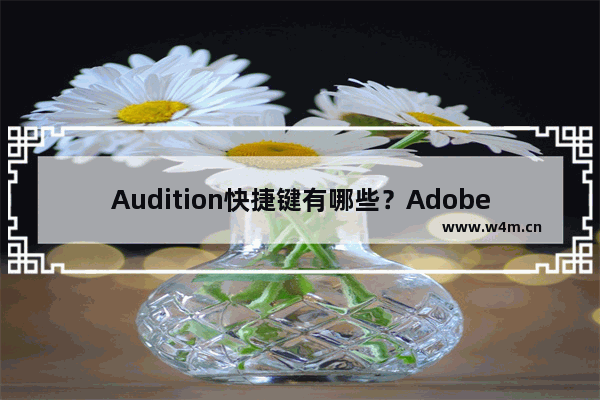 Audition快捷键有哪些？Adobe Audition常用快捷键