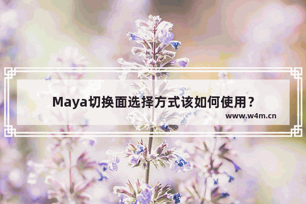 Maya切换面选择方式该如何使用？