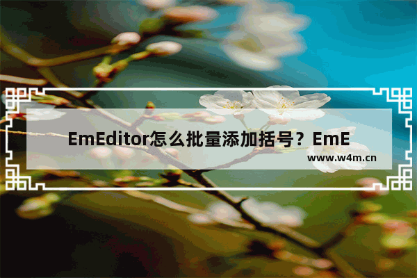 EmEditor怎么批量添加括号？EmEditor批量添加括号的技巧