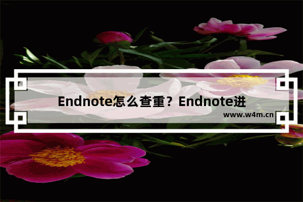 Endnote怎么查重？Endnote进行查重的技巧