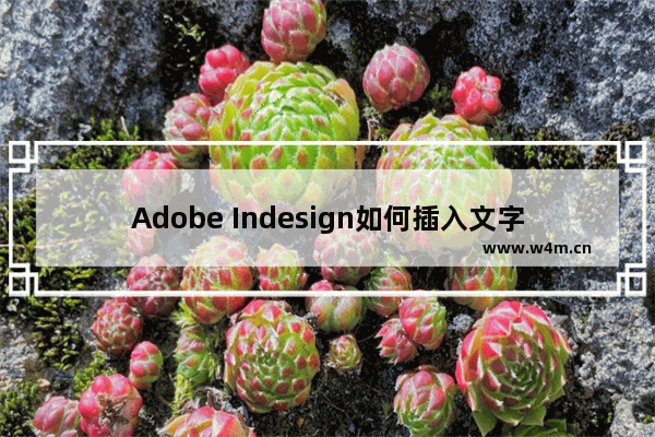 Adobe Indesign如何插入文字？