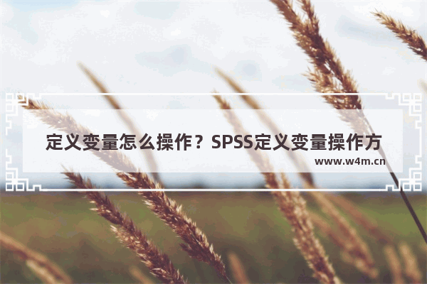 定义变量怎么操作？SPSS定义变量操作方法