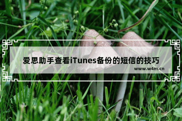 爱思助手查看iTunes备份的短信的技巧