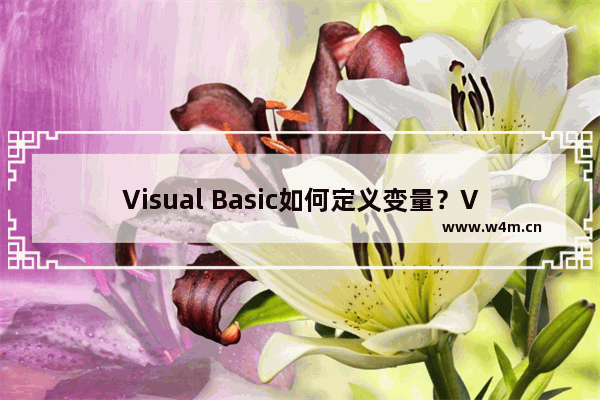 Visual Basic如何定义变量？Visual Basic定义变量的方法