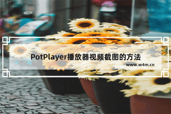 PotPlayer播放器视频截图的方法