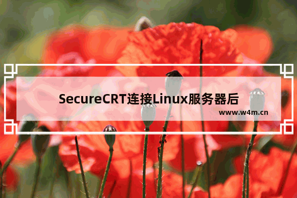 SecureCRT连接Linux服务器后出现乱码怎么办？