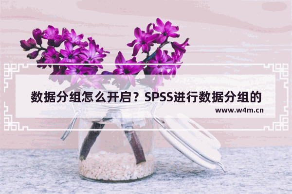 数据分组怎么开启？SPSS进行数据分组的方法