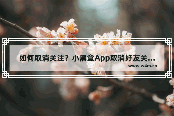 如何取消关注？小黑盒App取消好友关注的方法