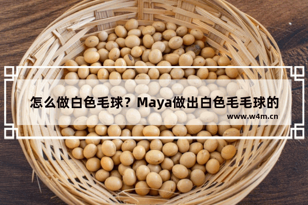 怎么做白色毛球？Maya做出白色毛毛球的方法