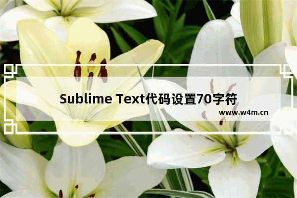 Sublime Text代码设置70字符自动换行的技巧