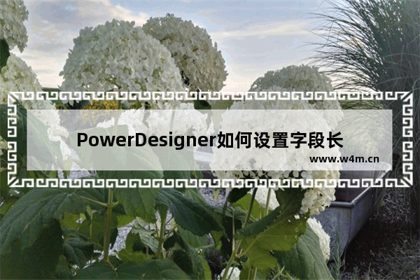 PowerDesigner如何设置字段长度？