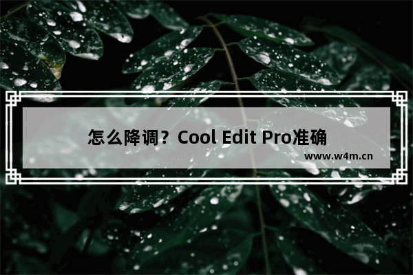 怎么降调？Cool Edit Pro准确降调的方法