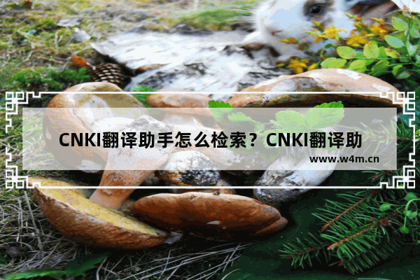 CNKI翻译助手怎么检索？CNKI翻译助手检索方法