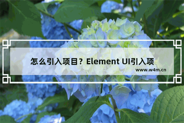 怎么引入项目？Element UI引入项目的方法