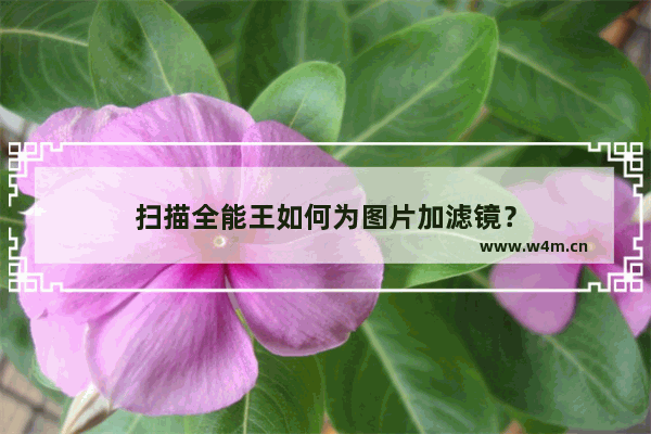 扫描全能王如何为图片加滤镜？