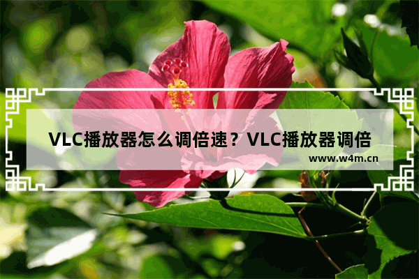 VLC播放器怎么调倍速？VLC播放器调倍速的方法