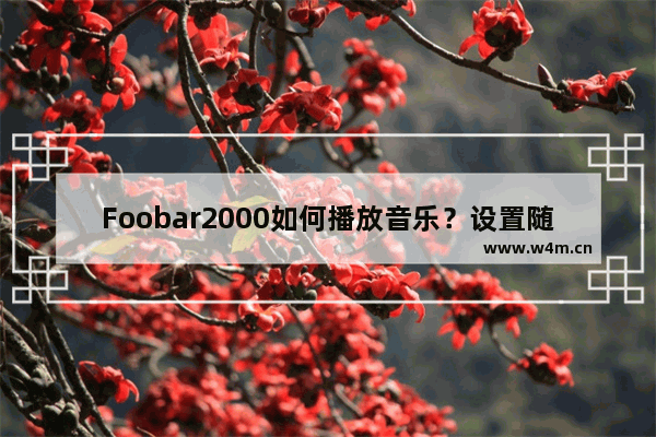 Foobar2000如何播放音乐？设置随机播放的方法