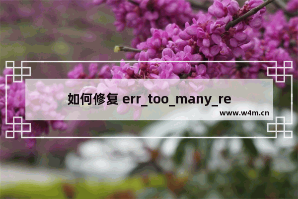 如何修复 err_too_many_redirects 错误？