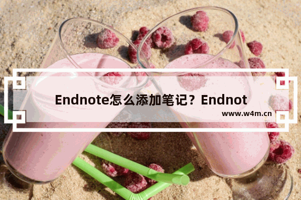 Endnote怎么添加笔记？Endnote添加笔记的技巧