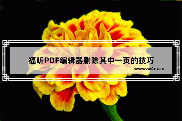 福昕PDF编辑器删除其中一页的技巧