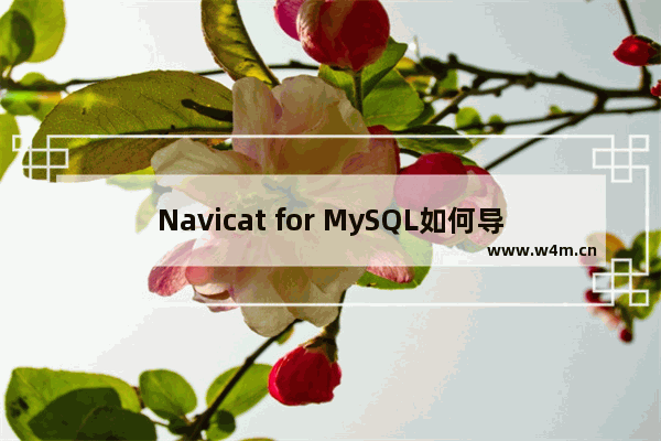 Navicat for MySQL如何导入数据表？