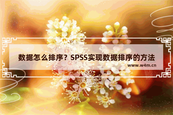 数据怎么排序？SPSS实现数据排序的方法