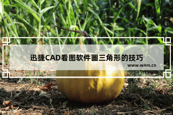 迅捷CAD看图软件画三角形的技巧