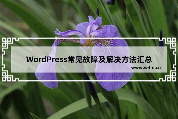 WordPress常见故障及解决方法汇总