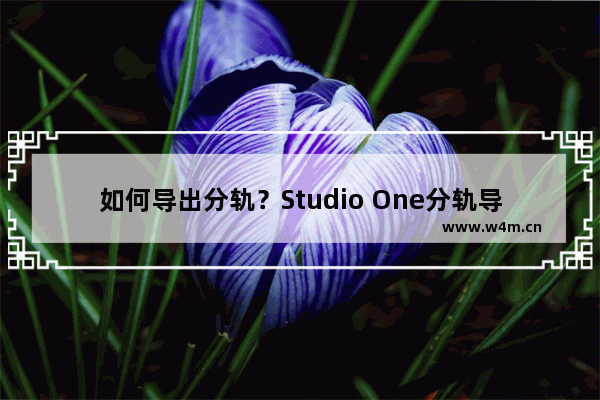 如何导出分轨？Studio One分轨导出的方法