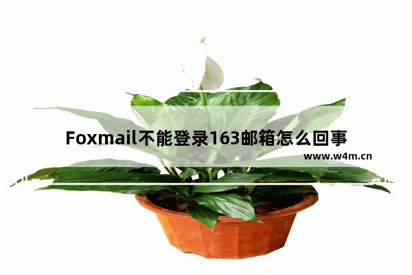 Foxmail不能登录163邮箱怎么回事？