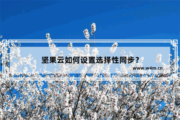 坚果云如何设置选择性同步？