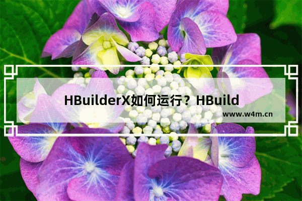 HBuilderX如何运行？HBuilderX运行到浏览器的技巧