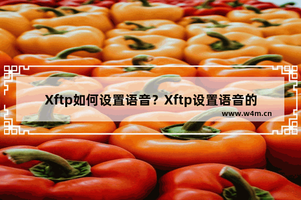 Xftp如何设置语音？Xftp设置语音的技巧