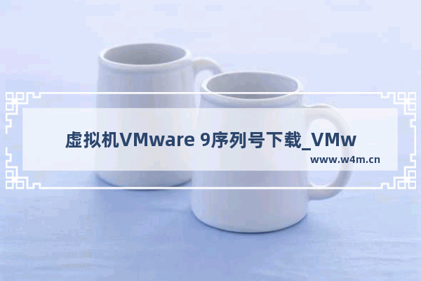 虚拟机VMware 9序列号下载_VMware 9永久激活密钥