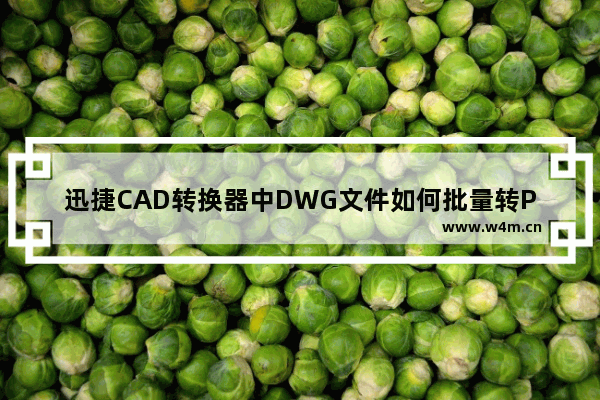 迅捷CAD转换器中DWG文件如何批量转PDF格式？