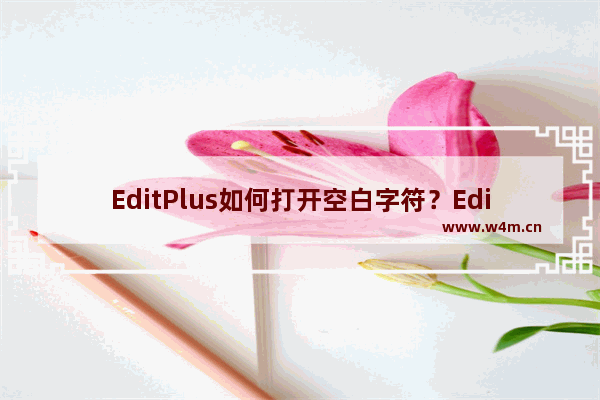 EditPlus如何打开空白字符？EditPlus打开空白字符的技巧