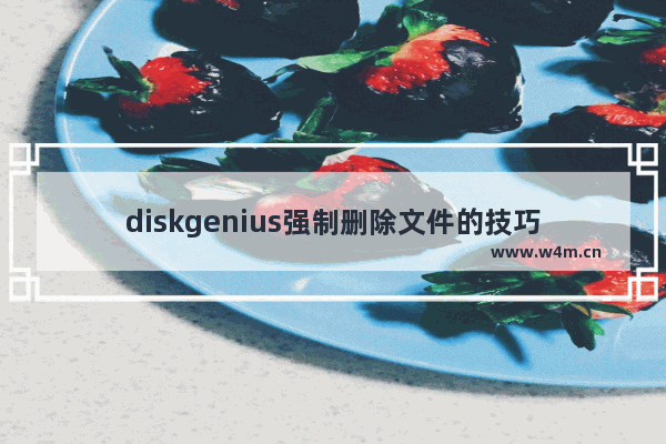 diskgenius强制删除文件的技巧