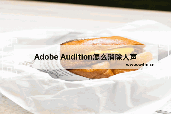 Adobe Audition怎么消除人声？消除人声的方法