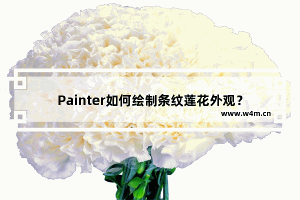 Painter如何绘制条纹莲花外观？