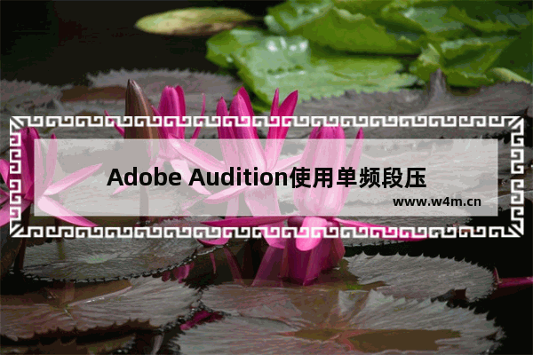 Adobe Audition使用单频段压缩器的方法