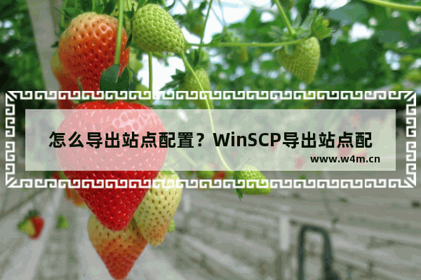 怎么导出站点配置？WinSCP导出站点配置的方法