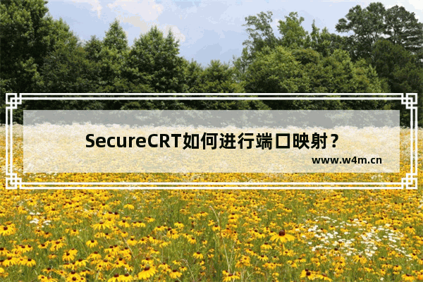 SecureCRT如何进行端口映射？