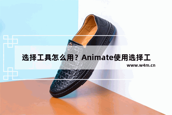 选择工具怎么用？Animate使用选择工具的方法