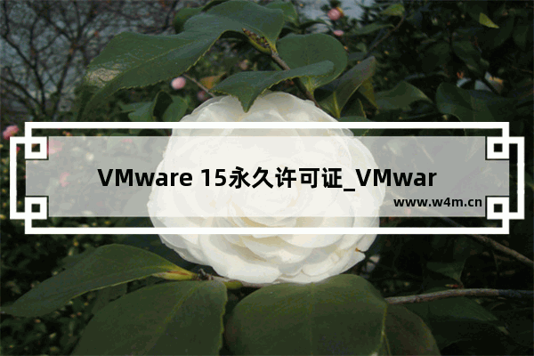 VMware 15永久许可证_VMware Workstation 15最新密钥下载