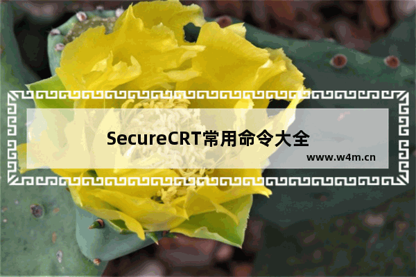 SecureCRT常用命令大全